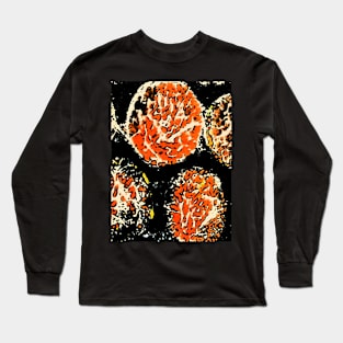 Orange sea balls Long Sleeve T-Shirt